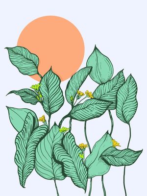 SOL ENTRE FOLHAS VERTICAIS