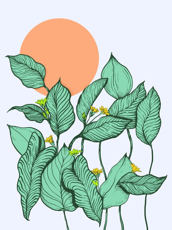 SOL ENTRE FOLHAS VERTICAIS