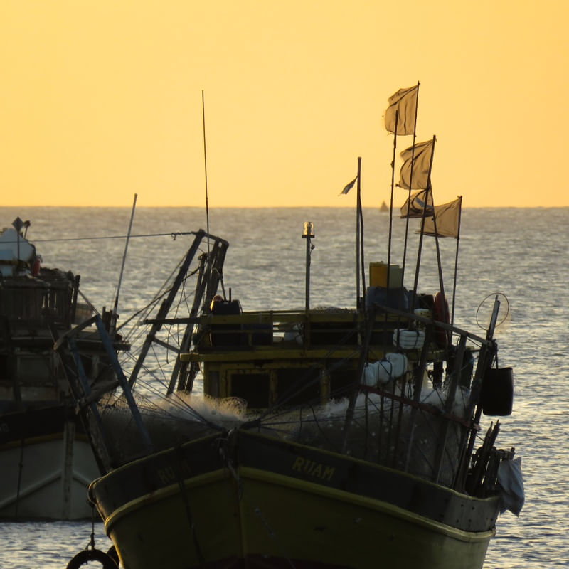 PESQUEIRO FORTALEZA III