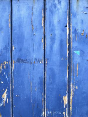 PORTE BLEUE 3 (CORRETO)