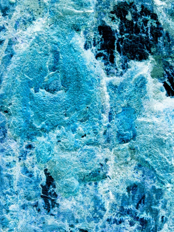 BLUE LIFE I
