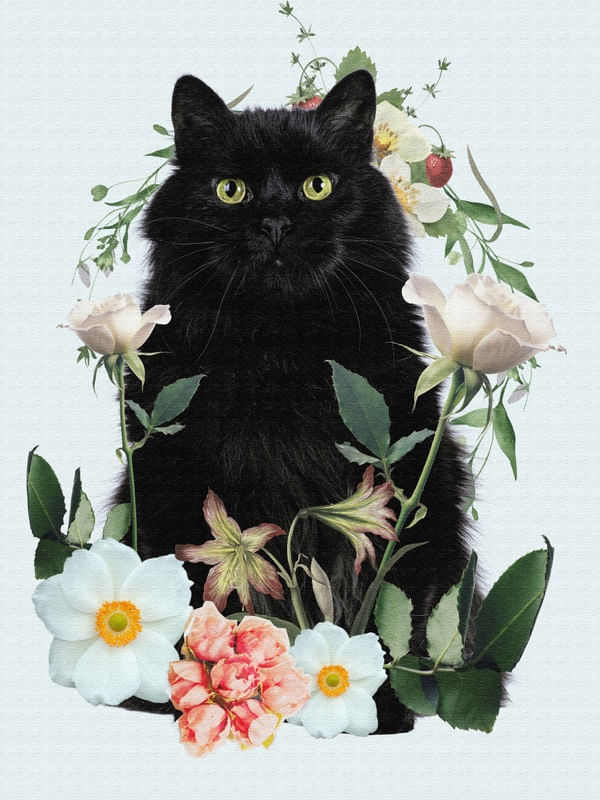 GATO PRETO FLORAL
