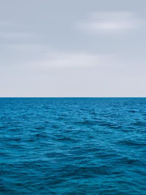 INSIDE BLUE - C