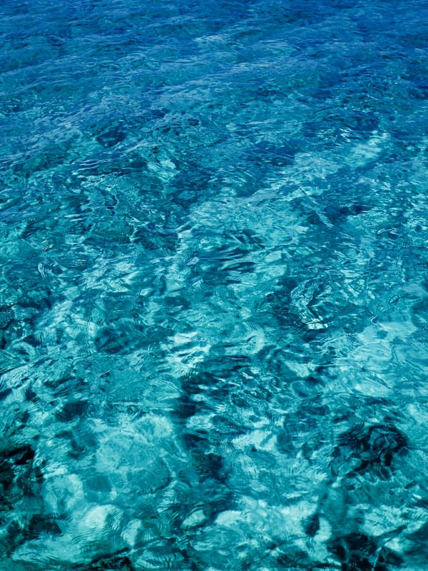 SPECIAL OCEAN
