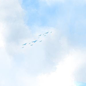 PÁSSAROS AZUIS VOANDO NO CÉU AZUL