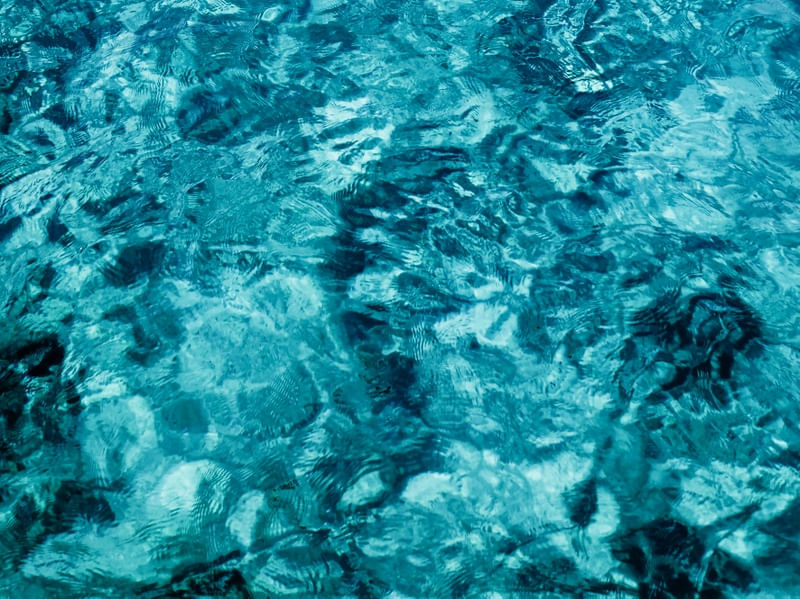 SPECIAL OCEAN - B