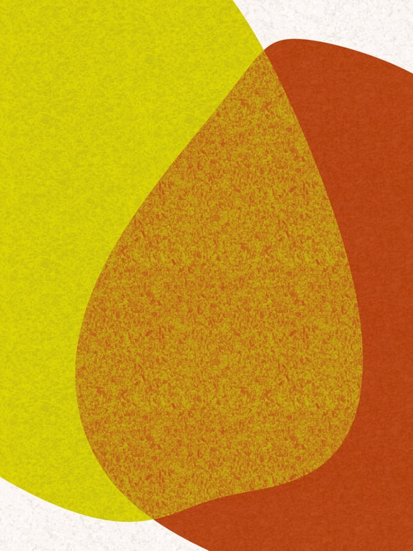 ARTE CONTORNOS MINIMALISTAS SÉRIE CORES TONS LARANJA VERDE OP 25