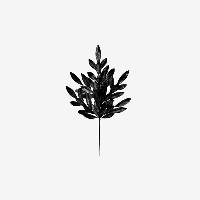 BOTANICO M2