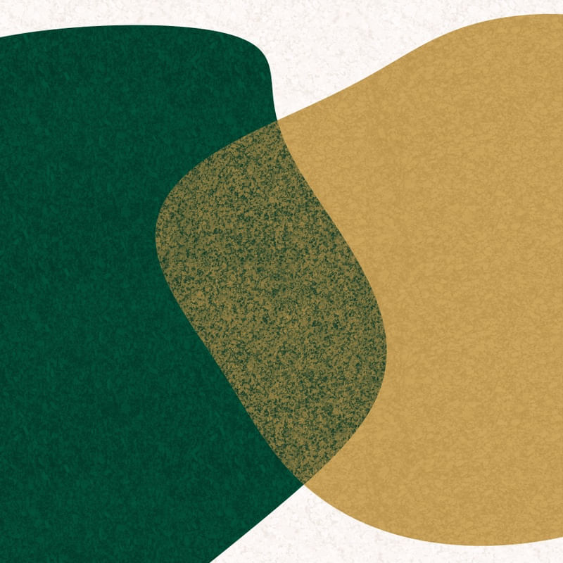 ARTE CONTORNOS MINIMALISTAS SÉRIE CORES TONS VERDE BEGE OP 26