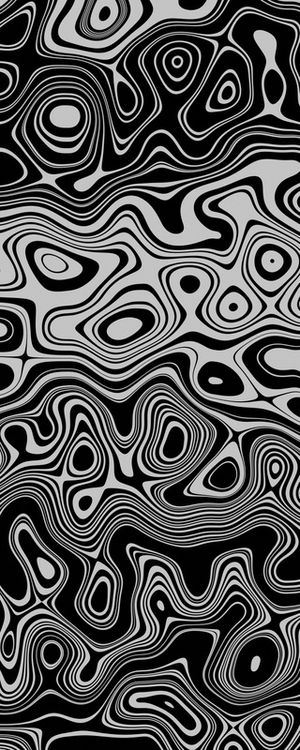 CURVAS PRETO E BRANCO - PANORÂMICA V2