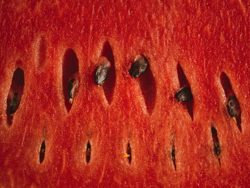 MELANCIA CLOSE II