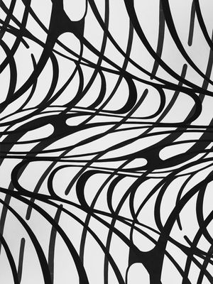 ABSTRACT CURVES BW