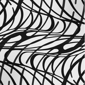 ABSTRACT CURVES BW SQUARE
