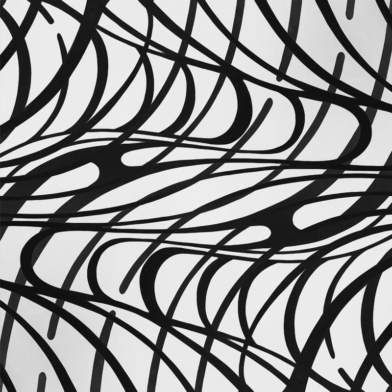 ABSTRACT CURVES BW SQUARE