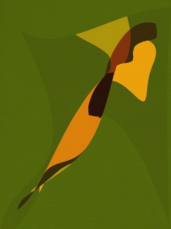 COLOR FIELD - THE YELLOW BIRD