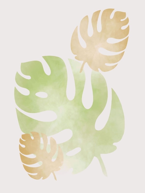 SPLIT LEAFS