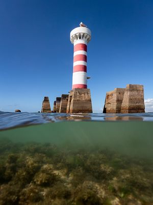 MERGULHO DE PONTA VERDE