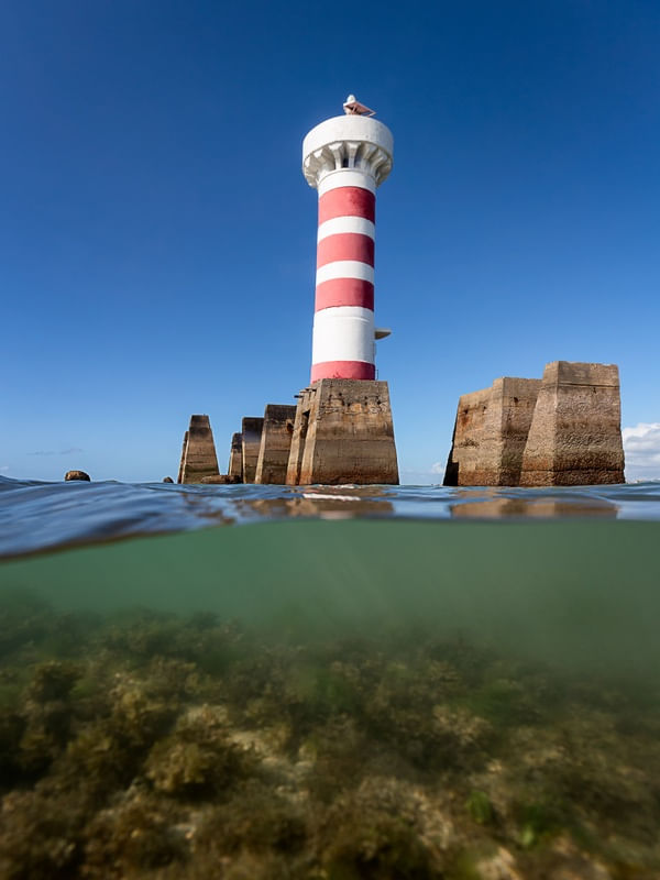 MERGULHO DE PONTA VERDE