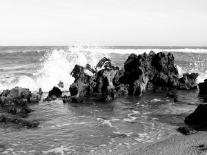 ONDAS DE ARACRUZ