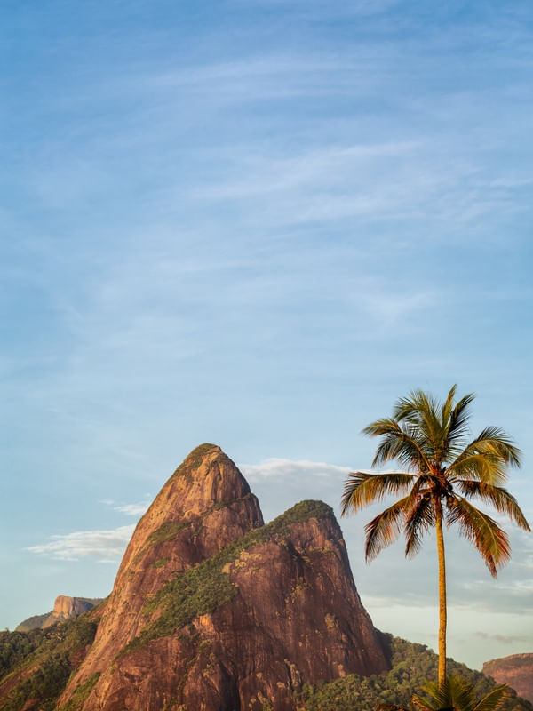 DOIS IRMÃOS E O COQUEIRO