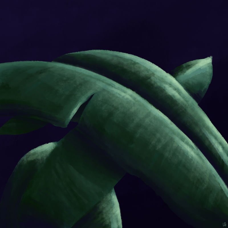 BANANEIRAS NO CREPÚSCULO