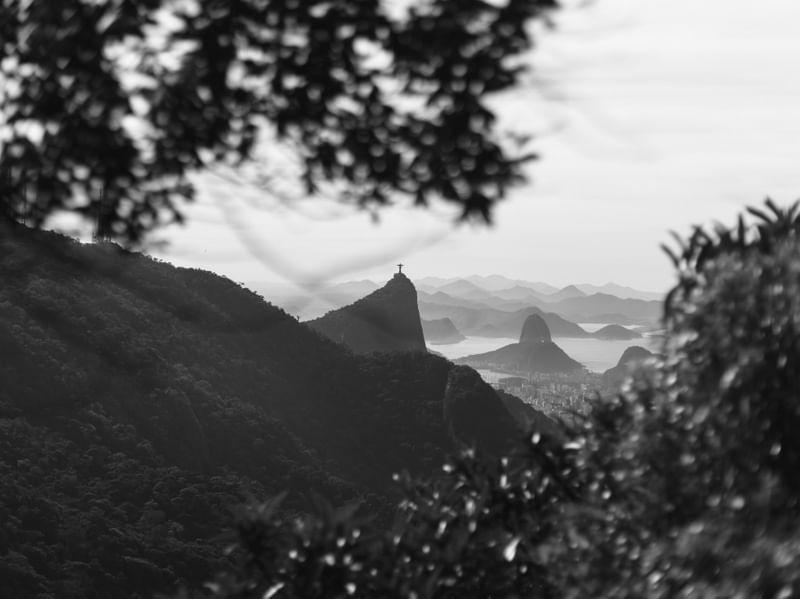 RIO DA FLORESTA