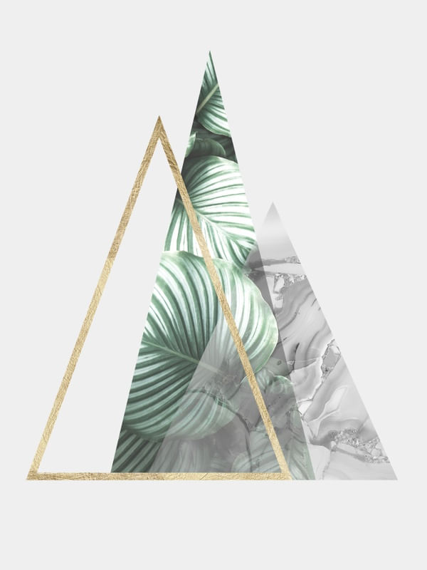 GEOMETRIA TROPICAL 01