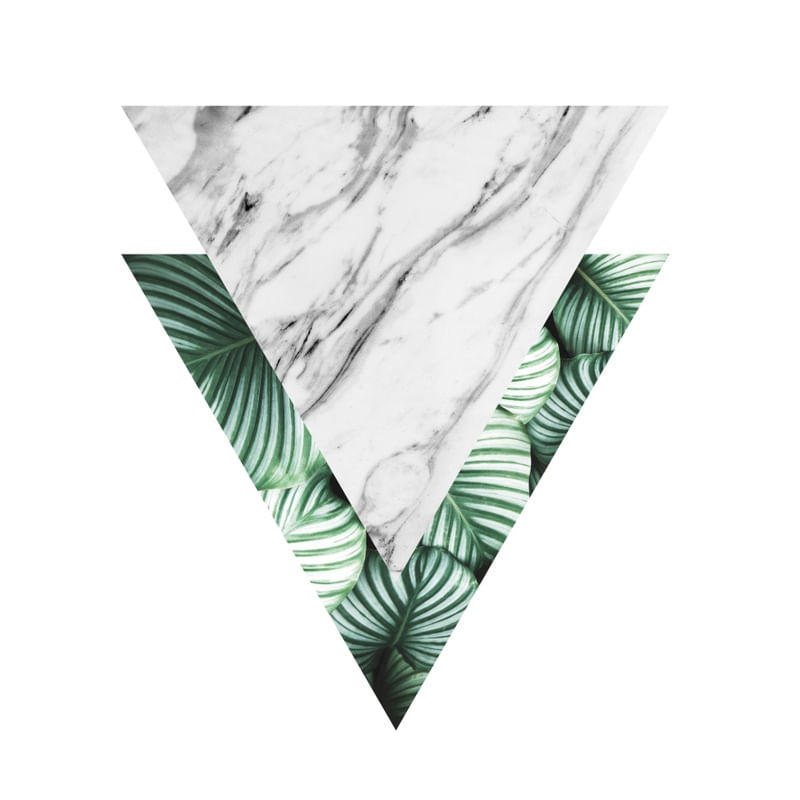 GEOMETRIA TROPICAL 02