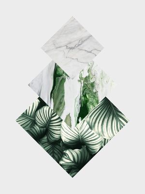 GEOMETRIA TROPICAL 04