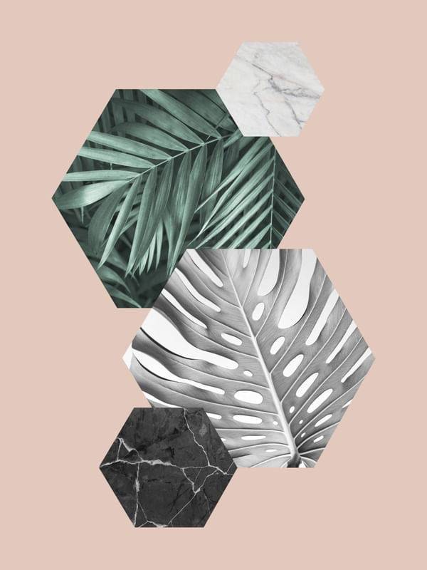 GEOMETRIA TROPICAL 05