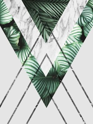 GEOMETRIA TROPICAL 07