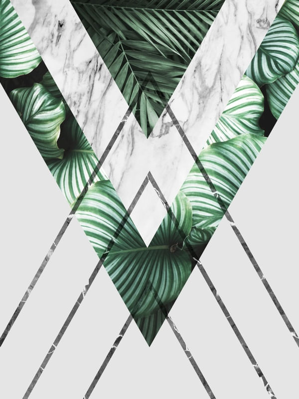 GEOMETRIA TROPICAL 07