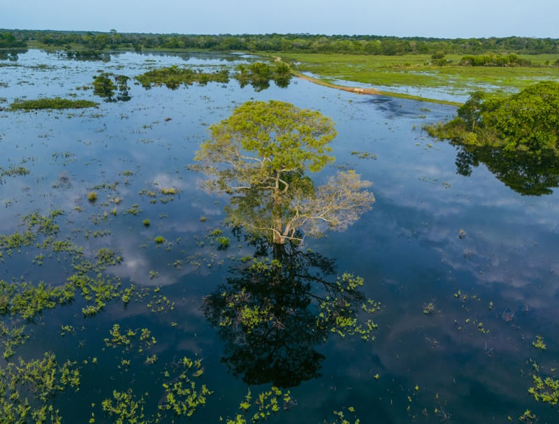 PANTANAL INUNDADO