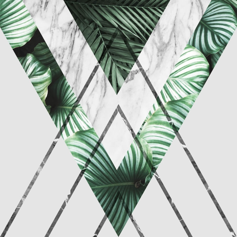 GEOMETRIA TROPICAL 08