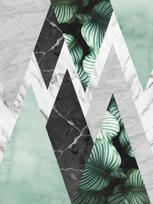 GEOMETRIA TROPICAL 09