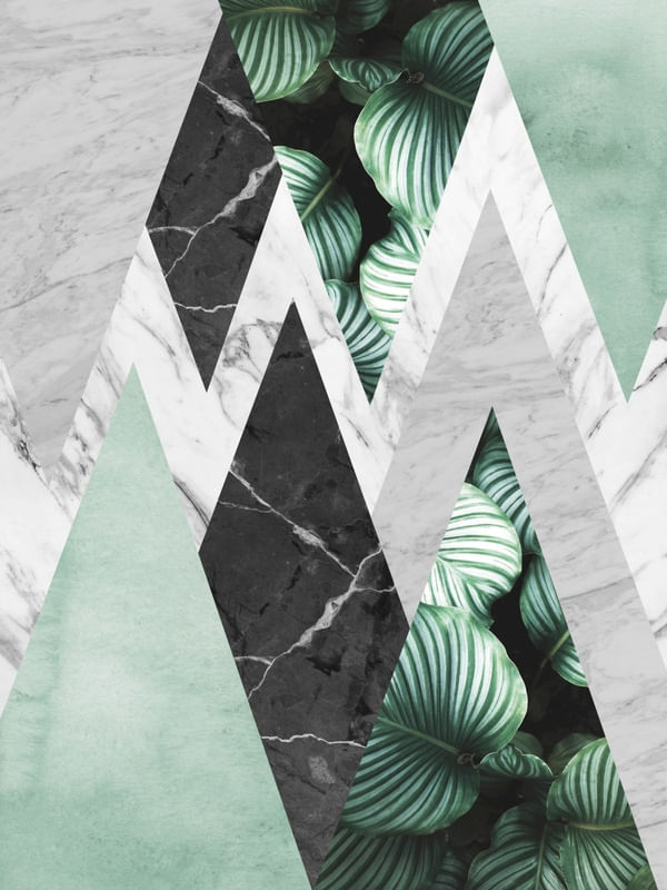GEOMETRIA TROPICAL 09
