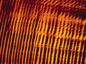 GEOMETRIC LATTICE II