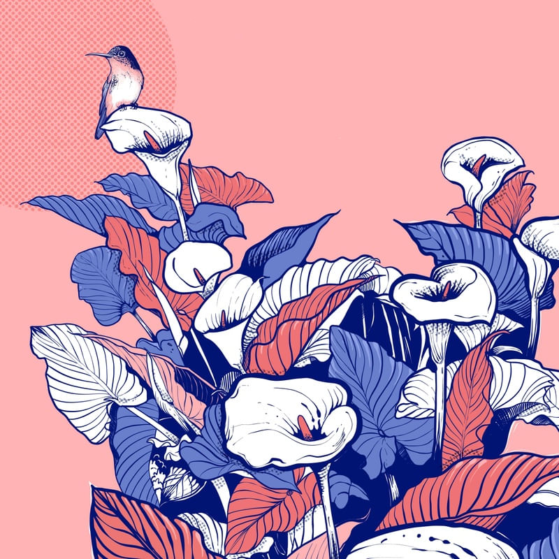 FLORES DE LÍRIOS E BEIJA-FLOR
