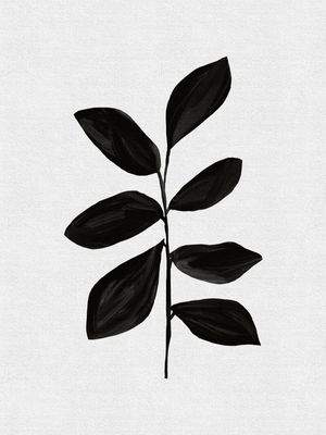 BOTANICAL BLACK I