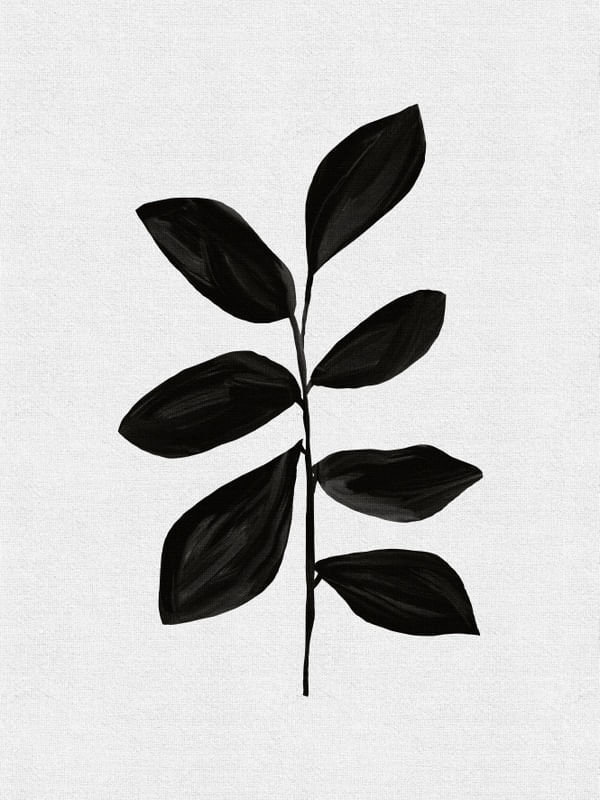 BOTANICAL BLACK I