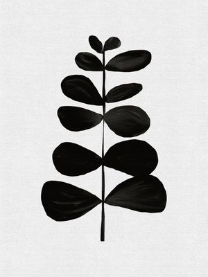 BOTANICAL BLACK II