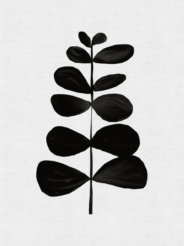 BOTANICAL BLACK II