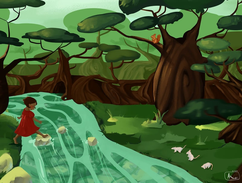 PASSEIO NA FLORESTA