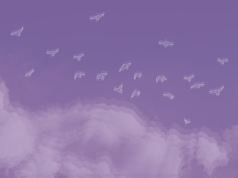 PASSAROS E NUVENS
