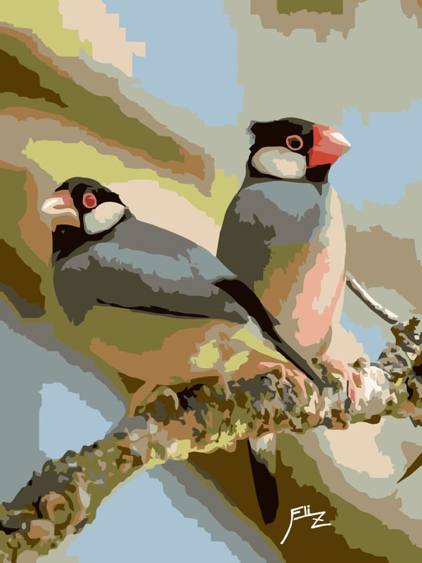 CASAL DE PÁSSAROS POUSADOS