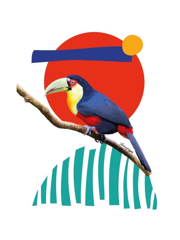 TUCANO DE BICO VERDE COLOR BLOCK