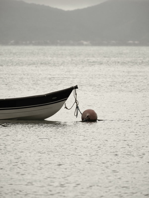 BARCO E BÓIA