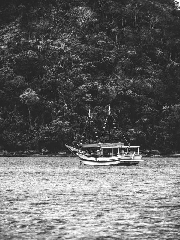 ANCORADO E FLORESTA