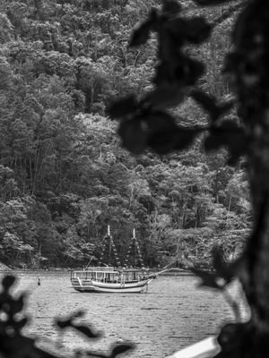 BARCO E MATA