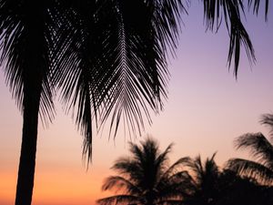 CAIR DA NOITE